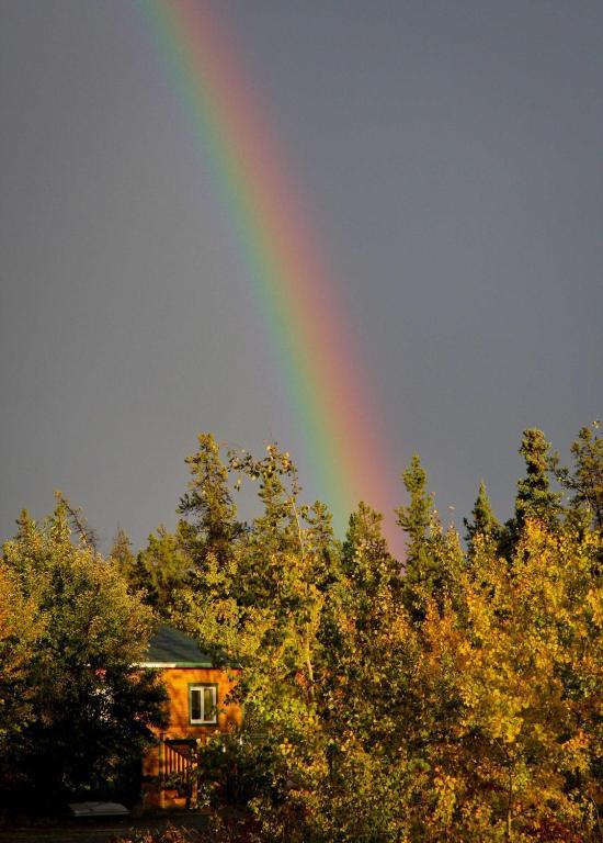 מלון ווייטהורס Sundog Retreat מראה חיצוני תמונה
